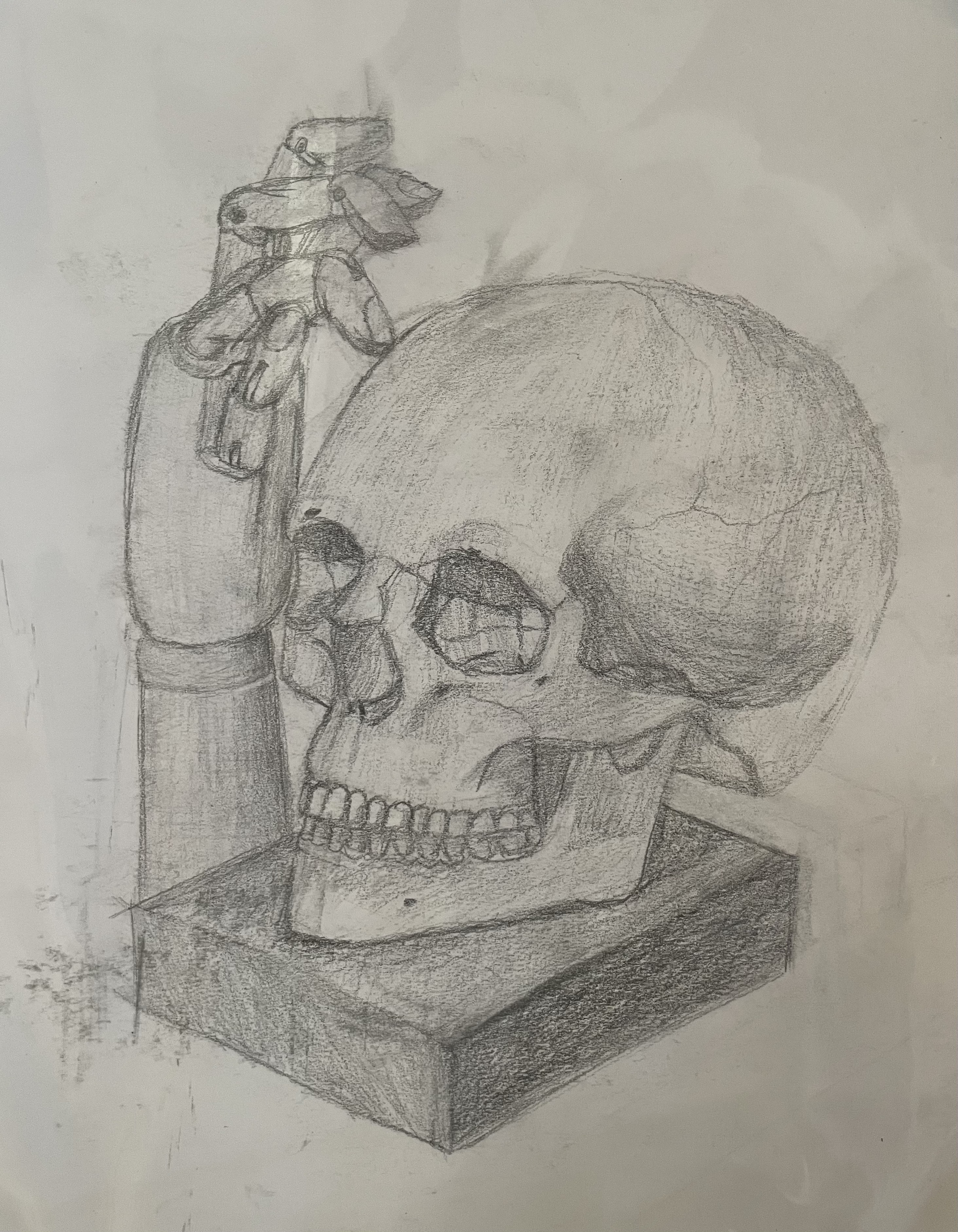 Lebka — ceruzková štúdia